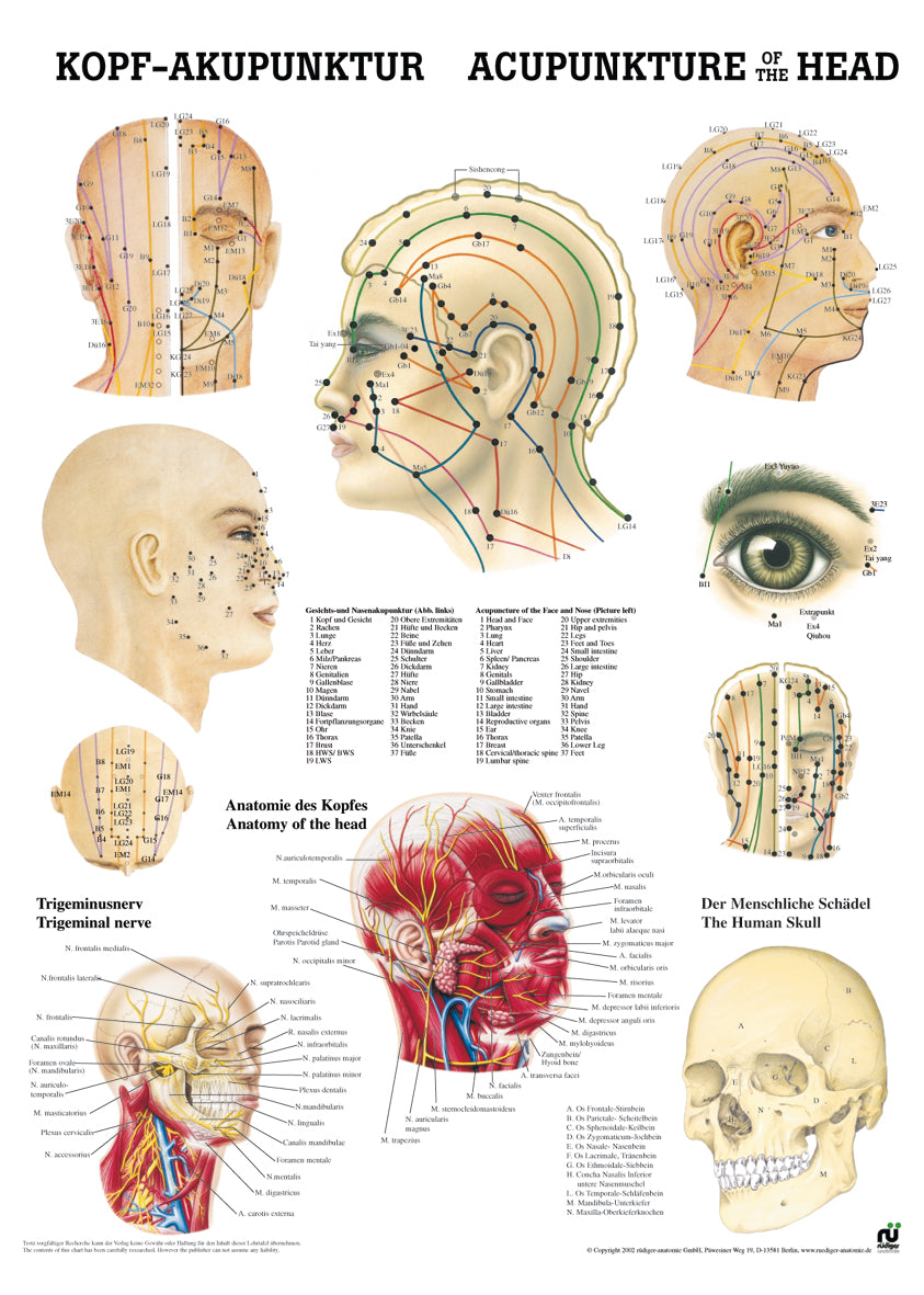Kopfakupunktur - YOGISHOP