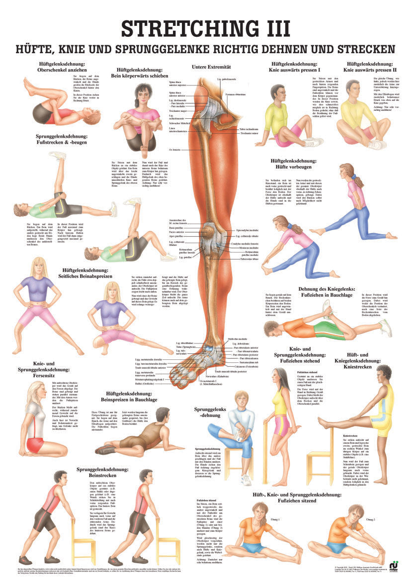 Stretching 3 - YOGISHOP