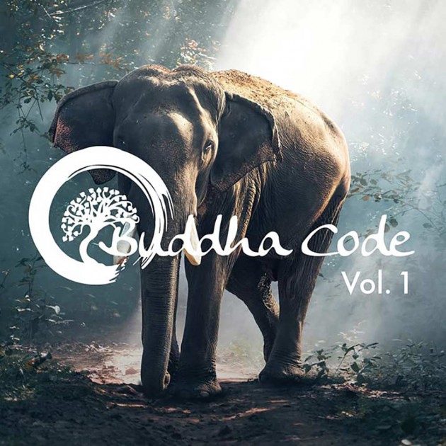Buddha Code Vol. 1 - Audio CD Gemafrei 