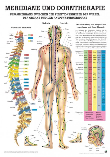 Meridians and Dorn therapy Poster 24cm x 34cm