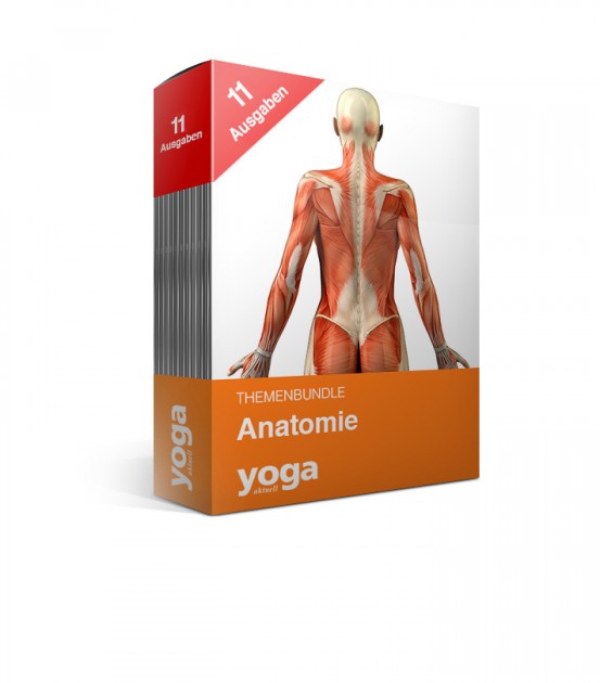 Anatomie - 11er Bundle 