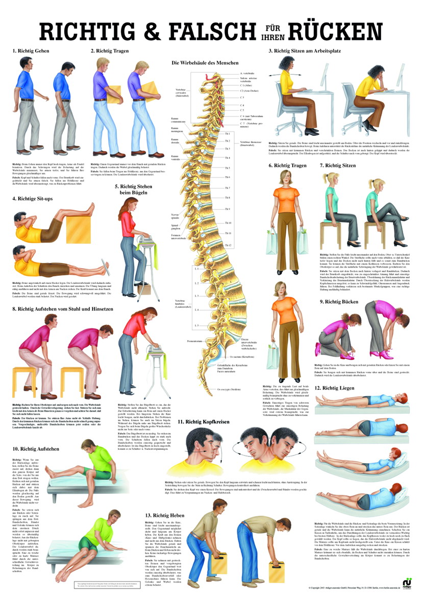 YOGISHOP | Richtig und Falsch für den Rücken | Yoga, Yogamatten &  Yoga-Zubehör